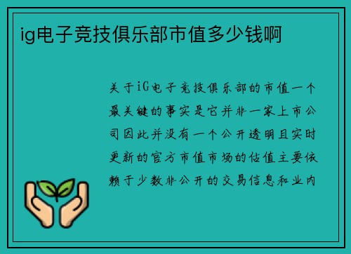 ig电子竞技俱乐部市值多少钱啊